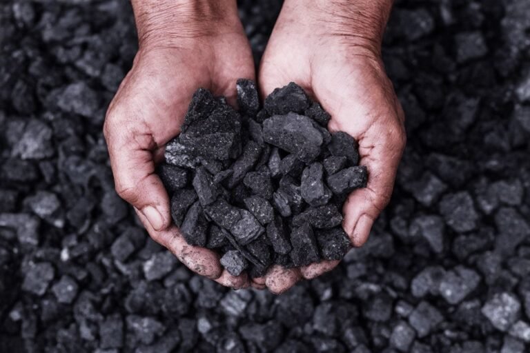 Способность идти по пути Йоги (Элементы Йоги. Часть 2)